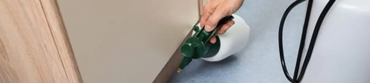 Bed bug exterminator treating baseboards and cracks with targeted spray in Norfolk, VA