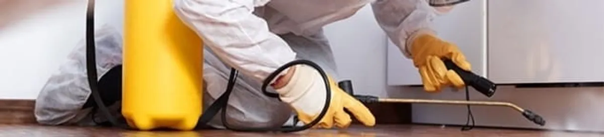 Roach exterminator treating cracks and crevices along kitchen baseboards in Norfolk, VA